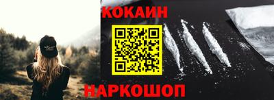 молекула духа Кингисепп