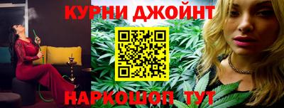 молекула духа Кингисепп