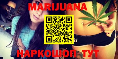 молекула духа Кингисепп