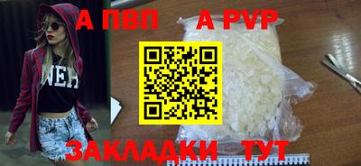 молекула духа Кингисепп