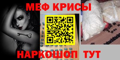 молекула духа Кингисепп